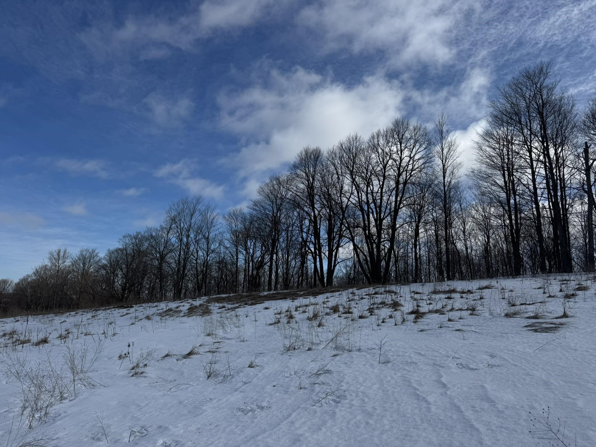 E John Michael Drive