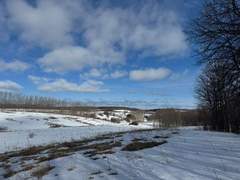 E John Michael Drive Suttons Bay Township MI 49682