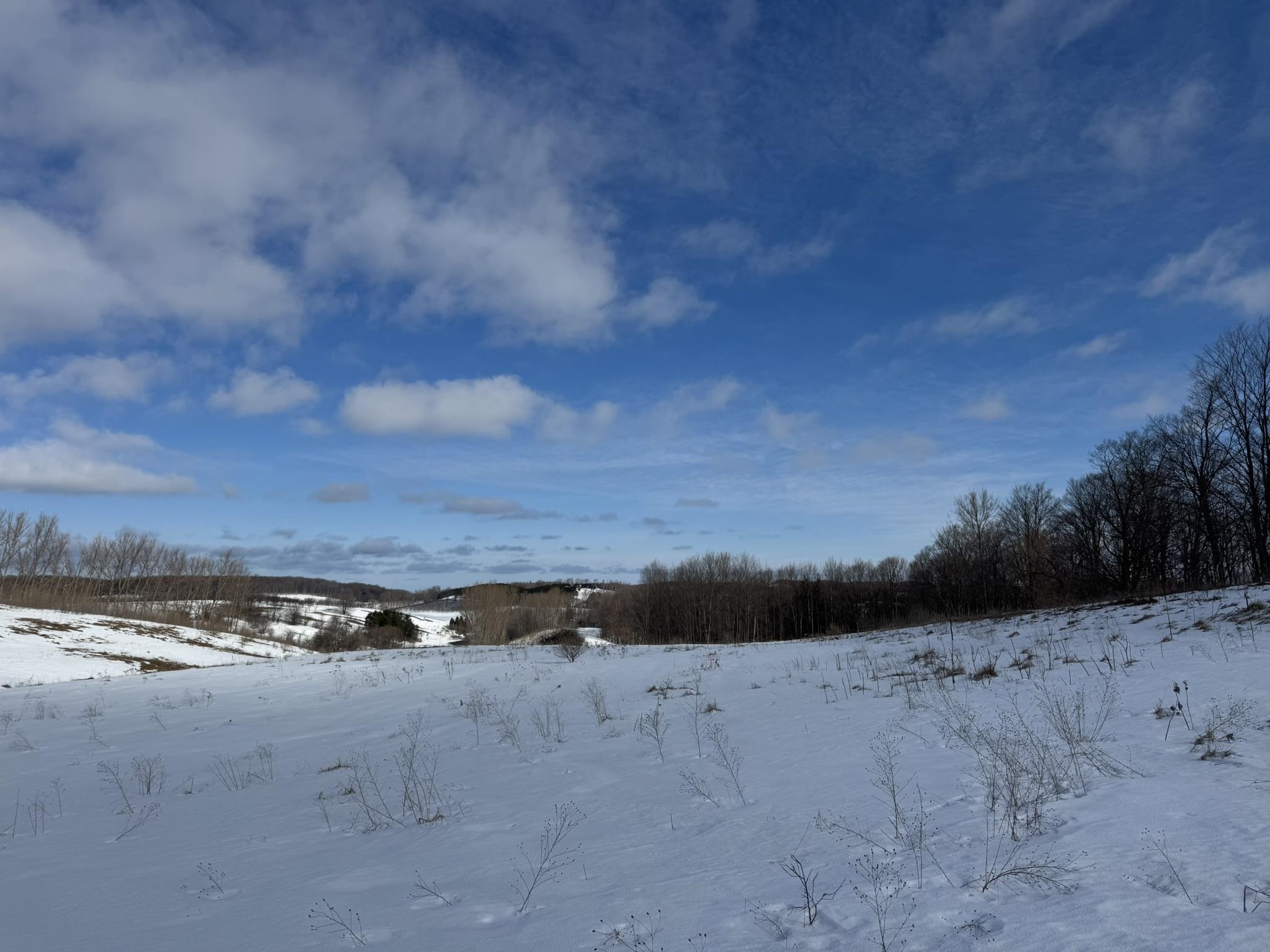 E John Michael Drive