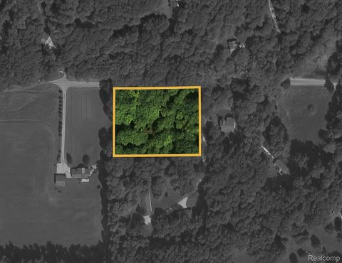 0 Cohoctah Road Deerfield Township MI 48430