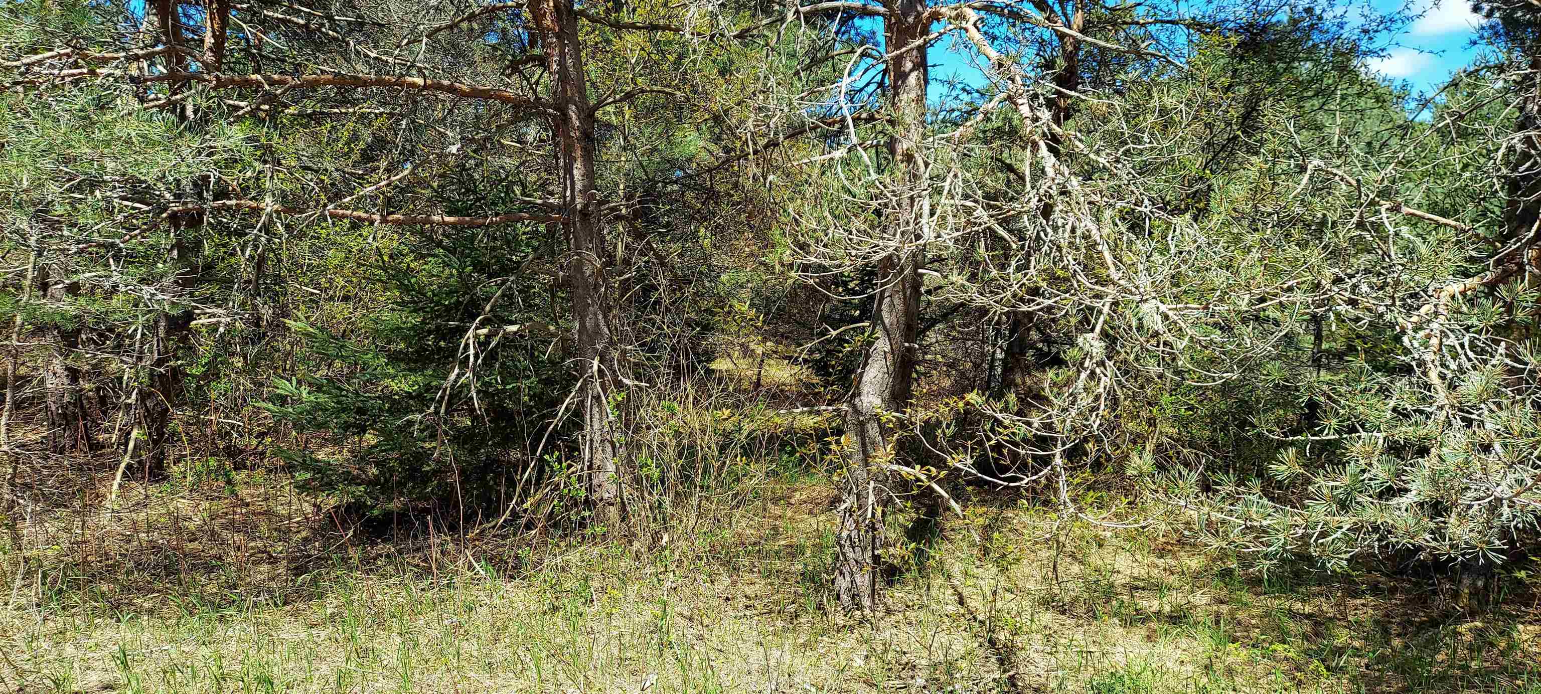 TBD Johnson Road