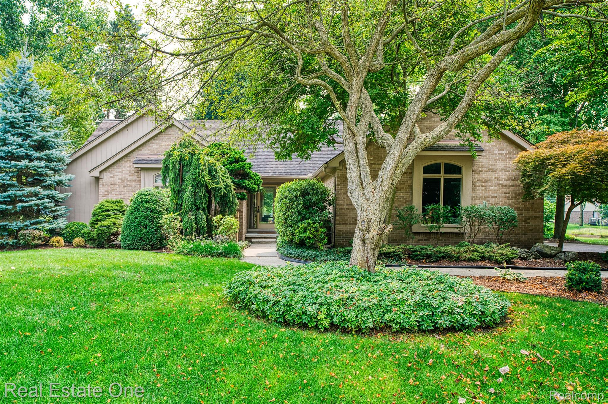 33771 Walnut Lane