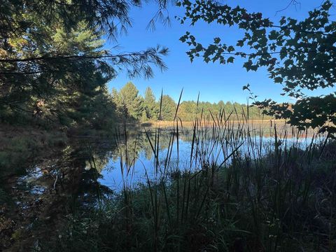 7556 210th Avenue Lincoln Township MI 49677