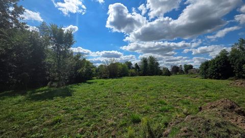 18000 blk #2 Forrister Road Rollin Township MI 49247