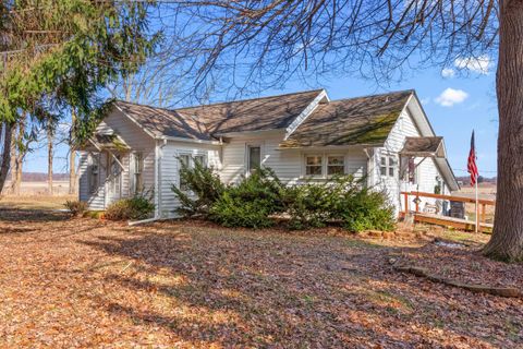 11695 Riker Road Litchfield Township MI 49252