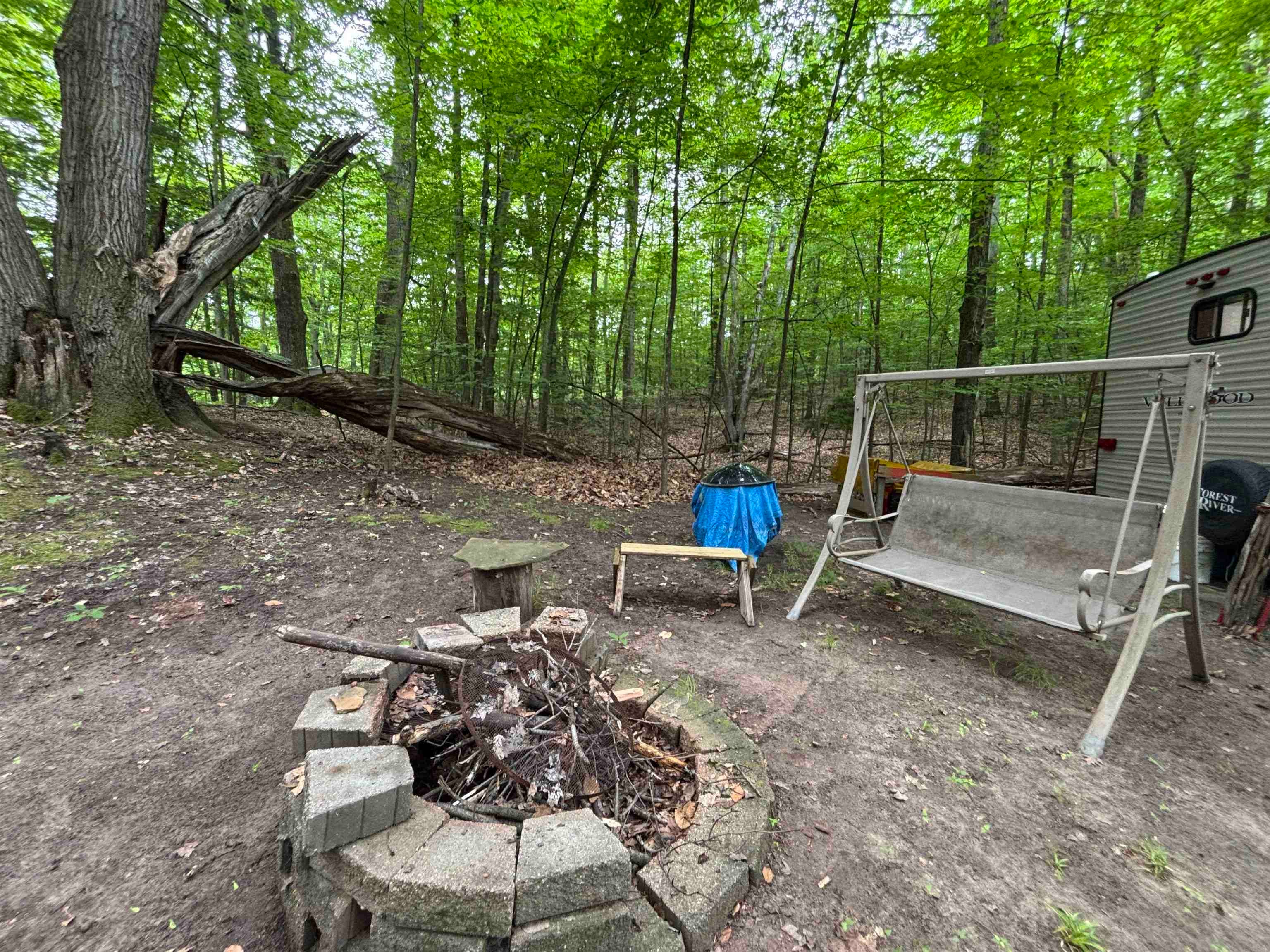 251 Forest Trail