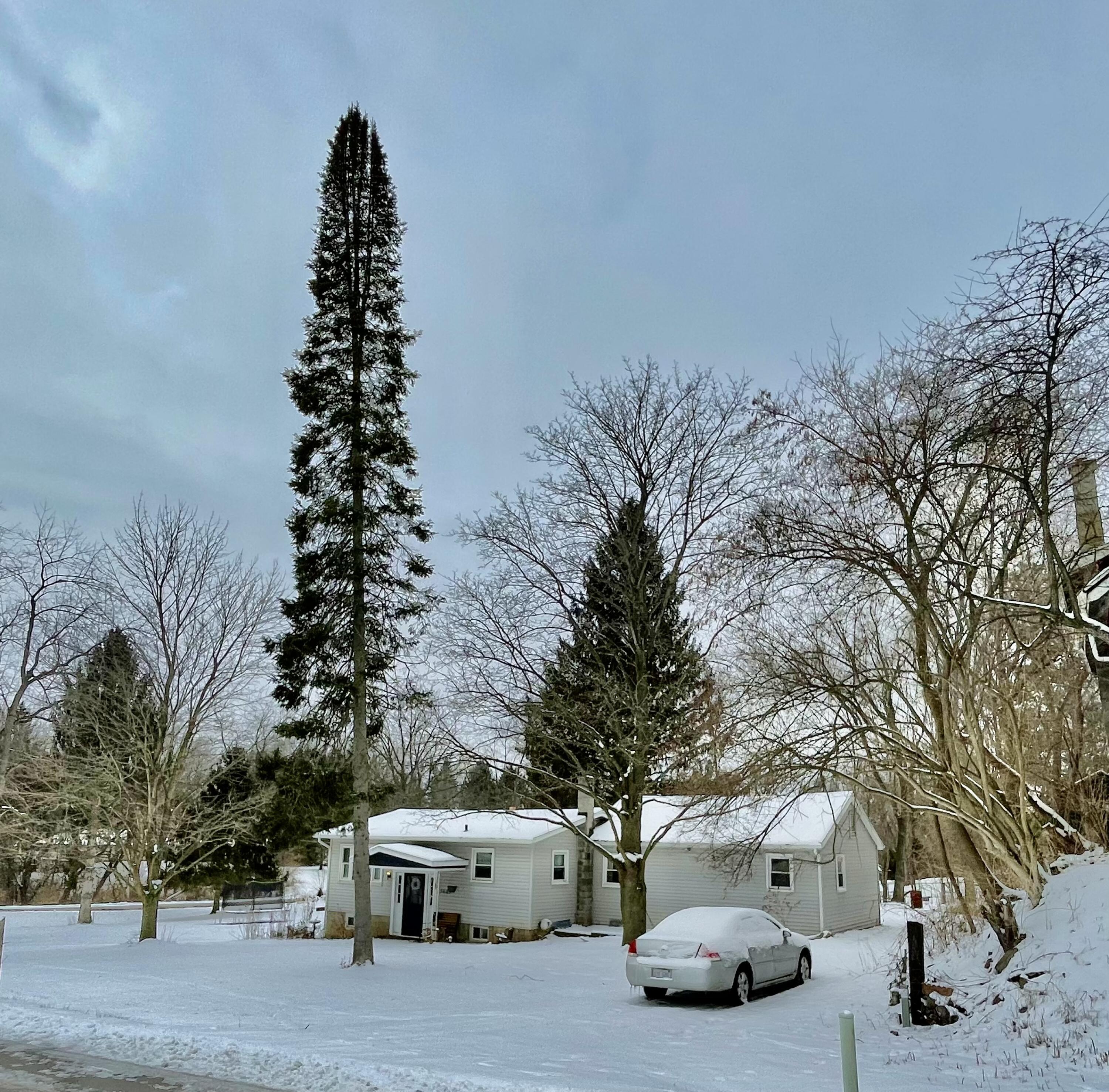 3668 Saint Mark Street