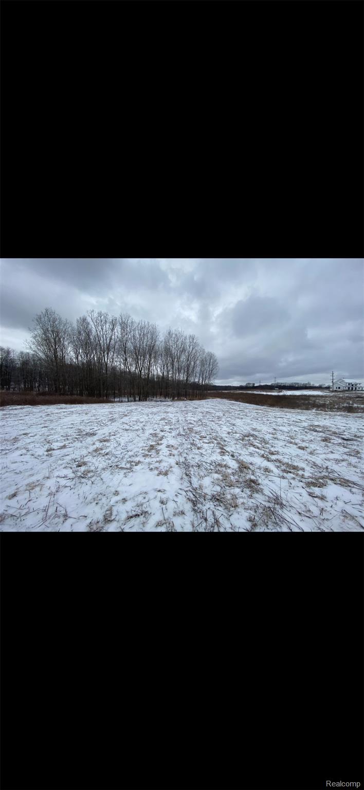 0000 Pingree Road