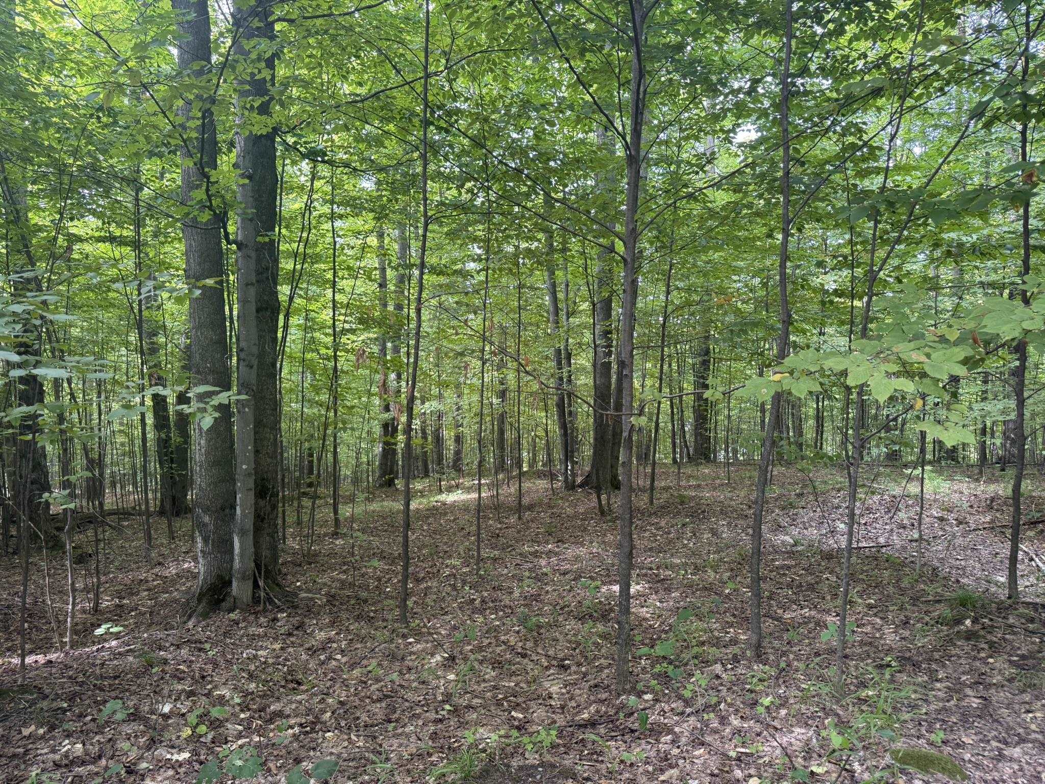 Lot 253 Niblick Court