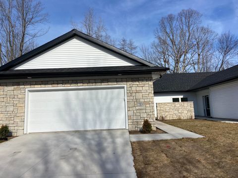 Tiny photo for Royalton Township, MI 49085 (MLS # 69026009549)