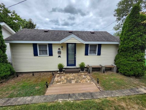 271 E Rose Lake Road Ovid Township MI 49036