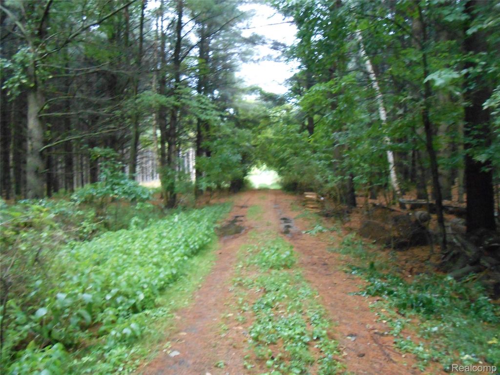 Photo of 2170 Old M 51, Washington Township, MI 48401 (MLS # 20251026452)