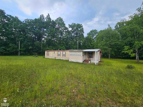 2765 Grass Lake Avenue Freeman Township MI 48632