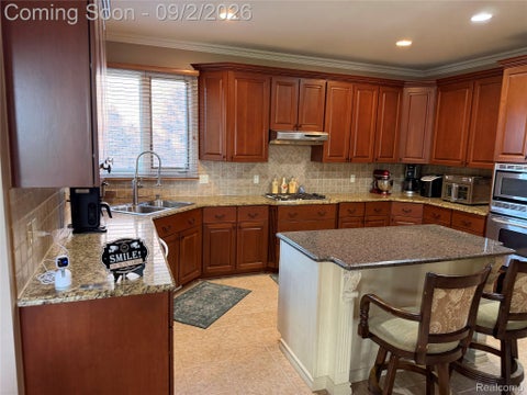 Tiny photo for 13046 Partridge Run, Shelby Charter Township, MI 48315 (MLS # 20261069368)