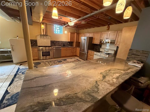 Tiny photo for 13046 Partridge Run, Shelby Charter Township, MI 48315 (MLS # 20261069368)