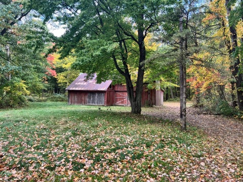 Tiny photo for 9297 M 66 S, Leroy Township, MI 49014 (MLS # 64026056936)