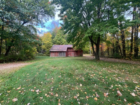 Tiny photo for 9297 M 66 S, Leroy Township, MI 49014 (MLS # 64026056936)