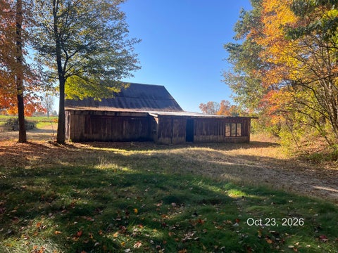 Tiny photo for 9297 M 66 S, Leroy Township, MI 49014 (MLS # 64026056936)