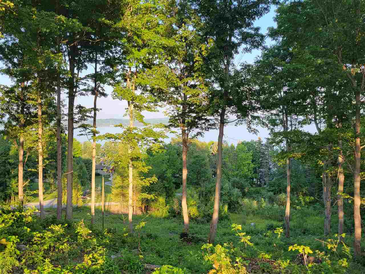 Lot 6 Torch Hills Lane