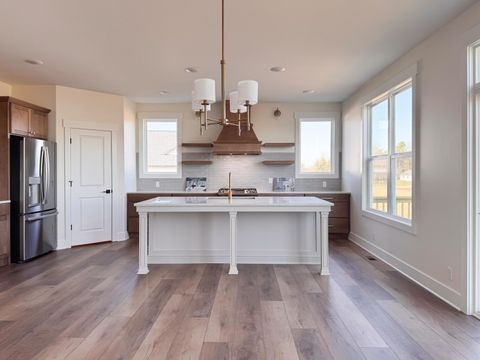 A home in ByronTownship_Kent
