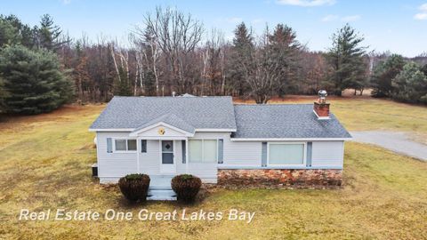 2750 E Deckerville Road Ellington Township MI 48723