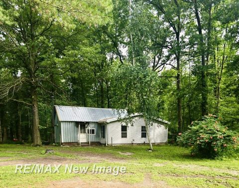 19650 Ithaca Road Marion Township MI 48614