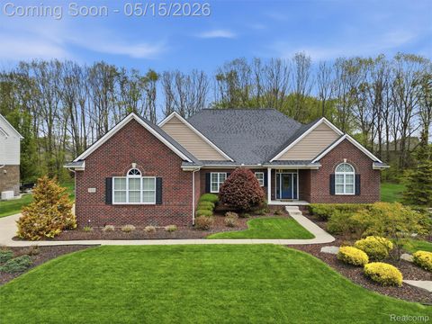 Photo of 23656 Millwood, Lyon Charter Township, MI 48178 (MLS # 20261031463)