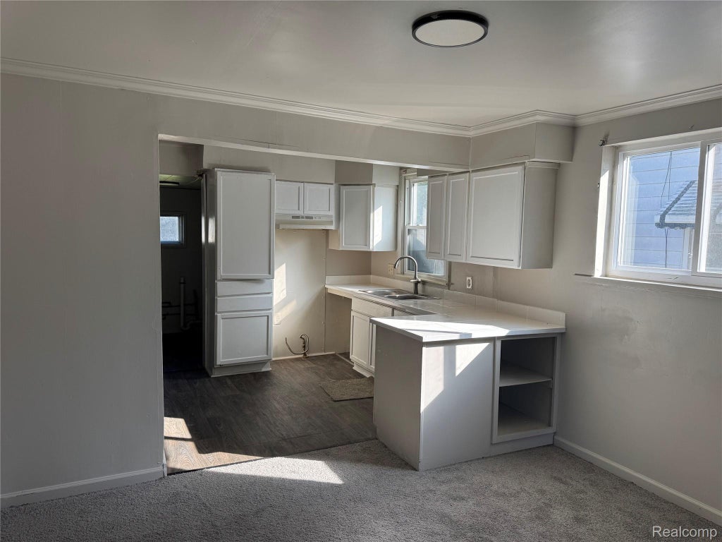 Photo of 6808 Heyden Street, Detroit City, MI 48228 (MLS # 20261085436)