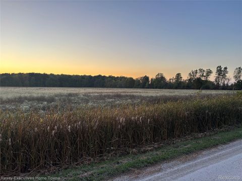 0000 Cribbins Road Greenwood Township MI 48006