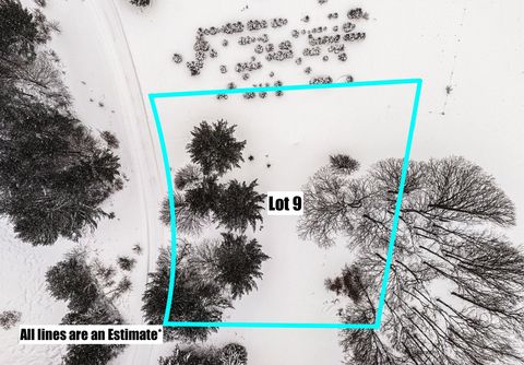 Lot #9 Kadi Lane Almira Township MI 49650