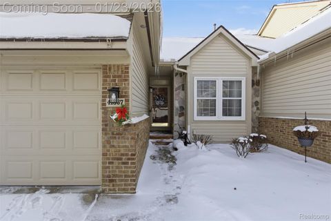 41867 Cantebury Drive Novi City MI 48377