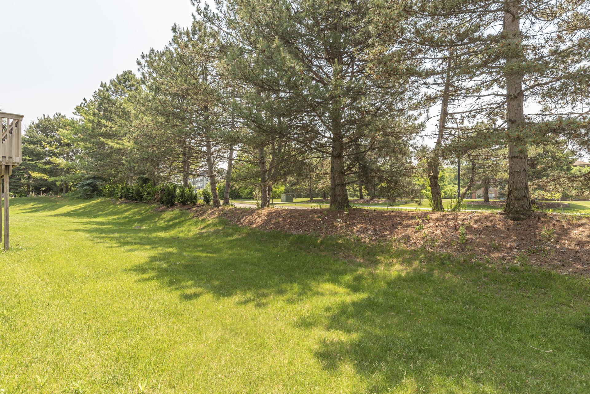 492 Colin Circle