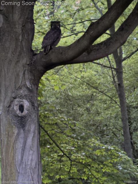 Tiny photo for 18275 Edenderry Street, Northville Township, MI 48168 (MLS # 20261010226)