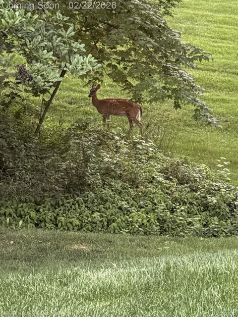 Tiny photo for 18275 Edenderry Street, Northville Township, MI 48168 (MLS # 20261010226)