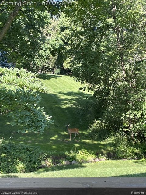 Tiny photo for 18275 Edenderry Street, Northville Township, MI 48168 (MLS # 20261010226)