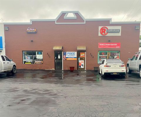731 W Michigan Avenue Saline City MI 48176