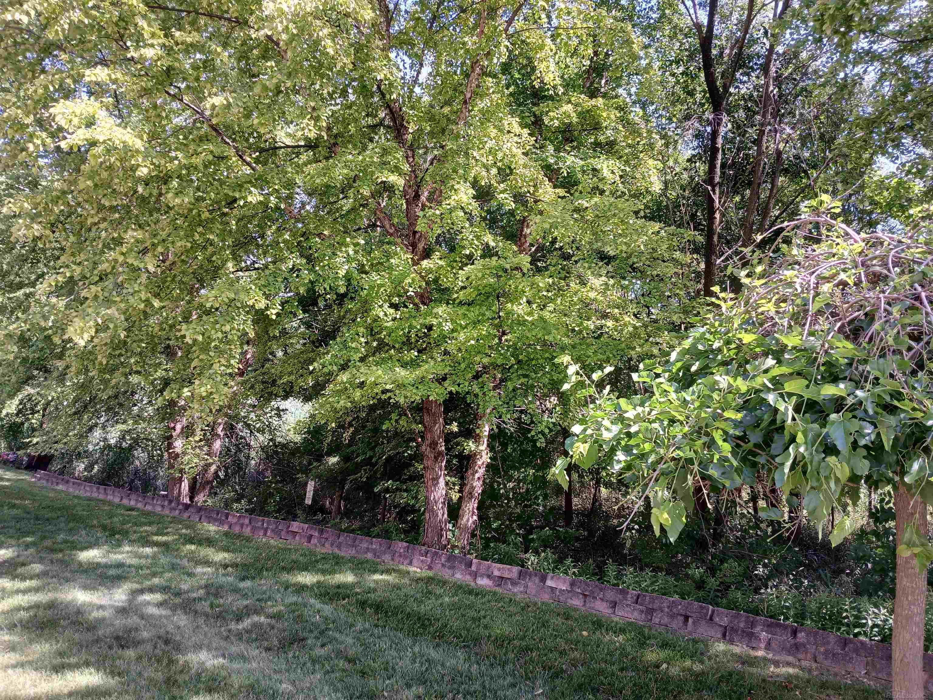 11820 Creekview Drive