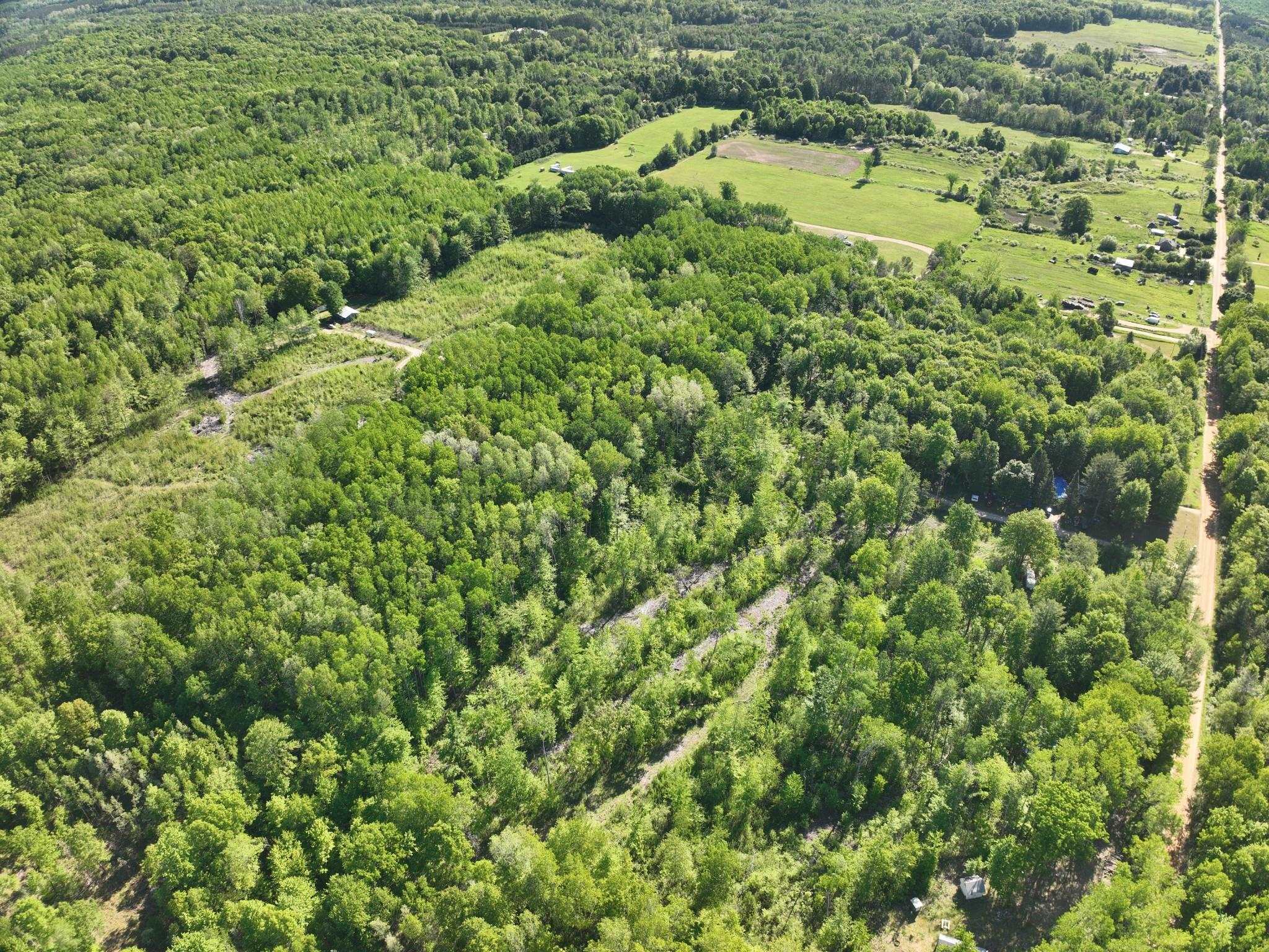 9 Gambling Trail