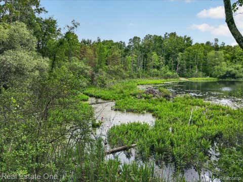 Tiny photo for 425 Courtney Road, Addison Township, MI 48367 (MLS # 20261047824)