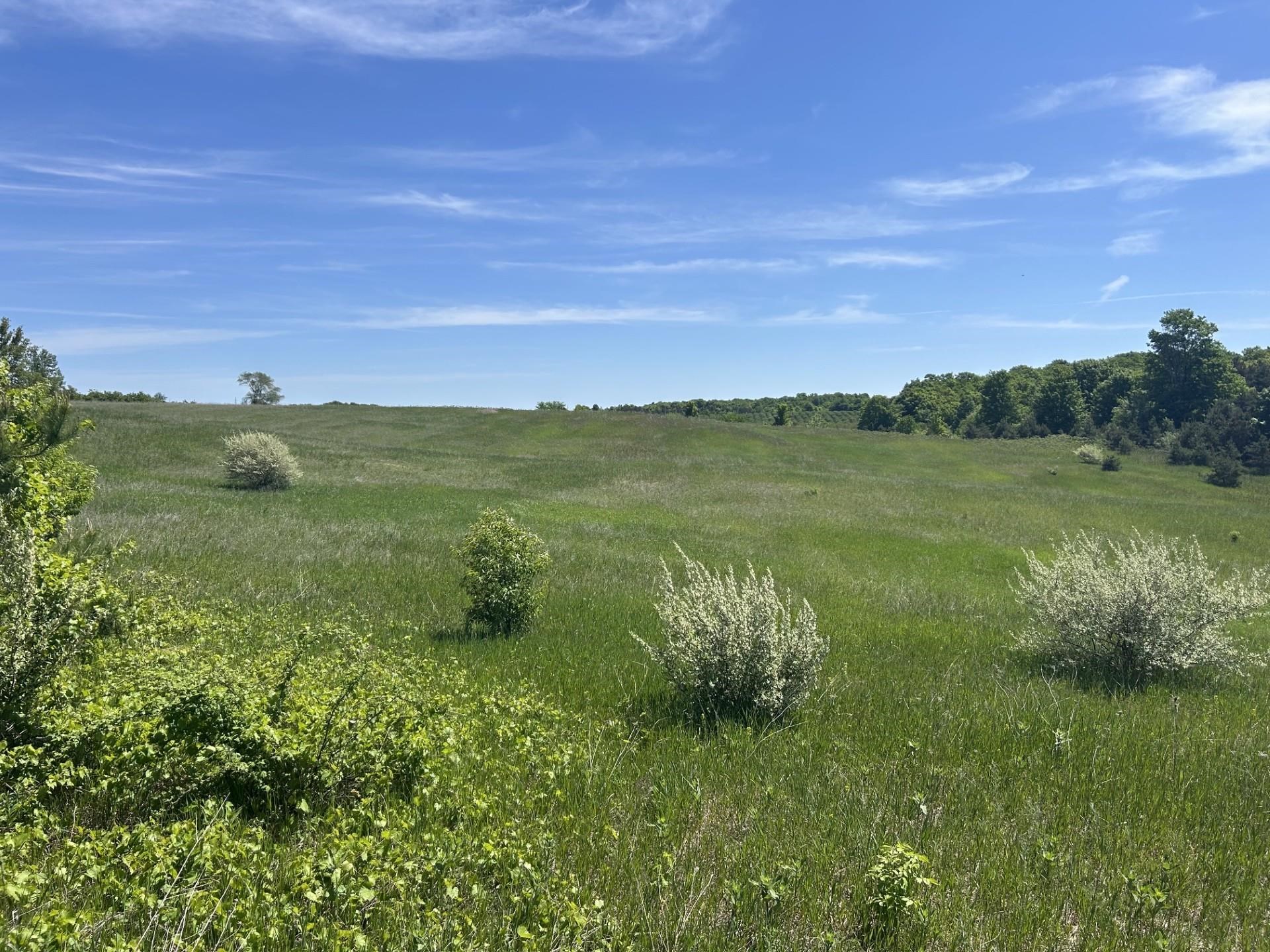 00 Maple Valley Road