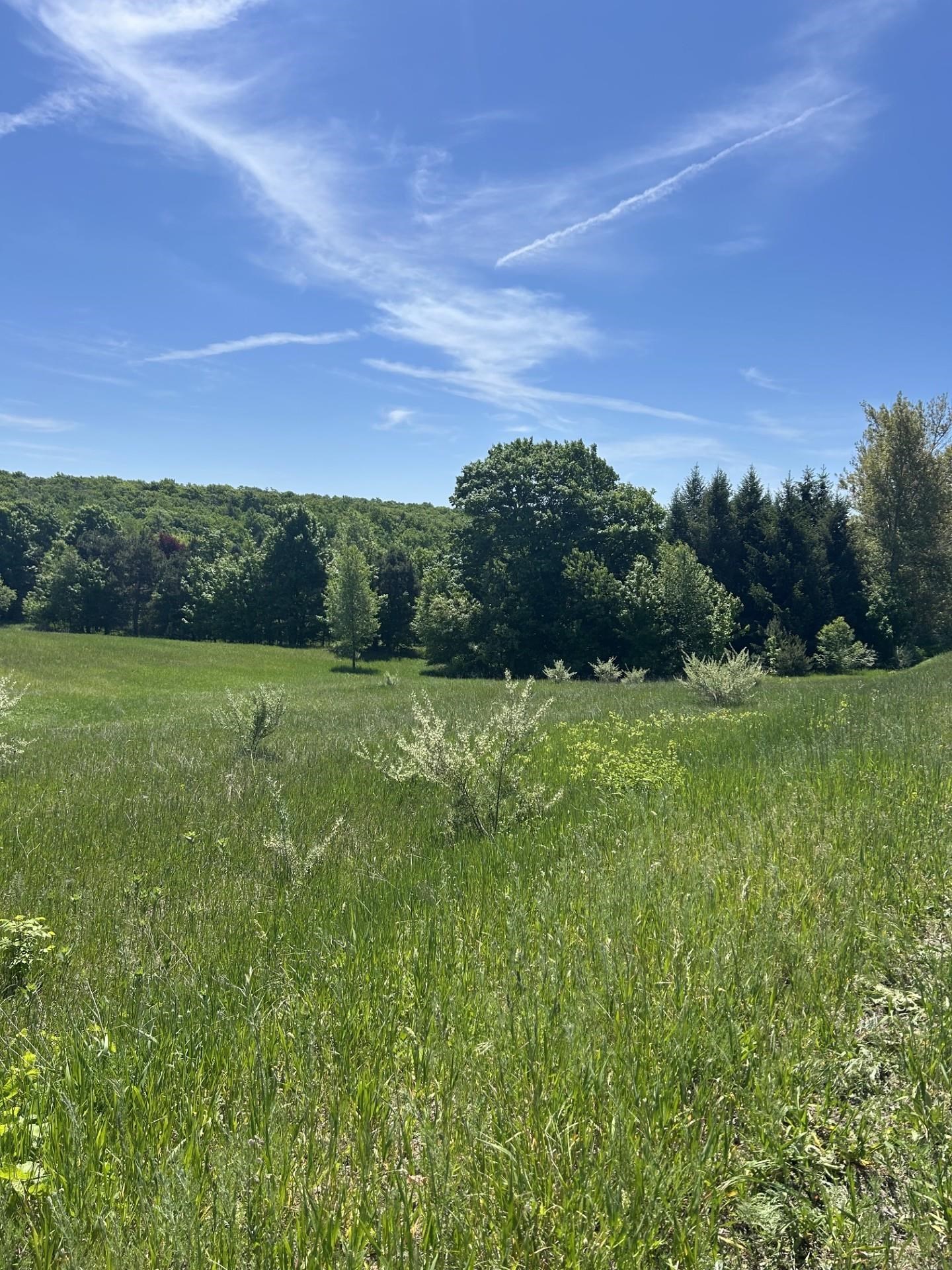 00 Maple Valley Road