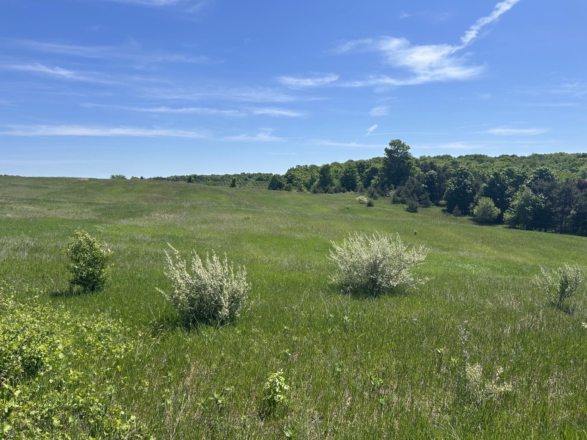 00 Maple Valley Road