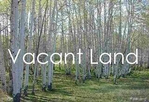 6130 WAYNE Road Romulus City MI 48174