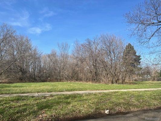 3533 LOVETT ST, DETROIT, MI 48210 - Image d3d55e3bbf9df212ae9243de9ee5dc7f/2173343536