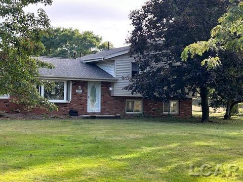 7959 M-50 Street Ridgeway Township MI 49286