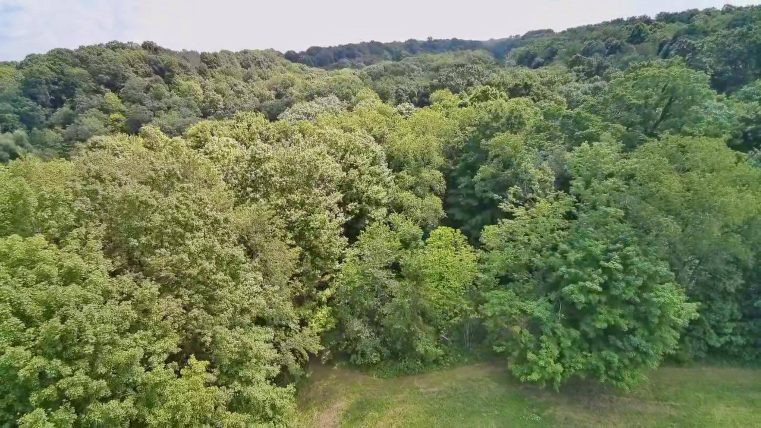 6900 Morrison Lake Road