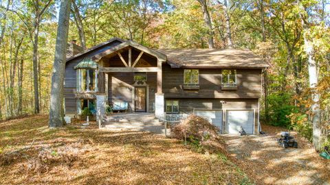 270 Wood Hills Drive Pulaski Township MI 49237