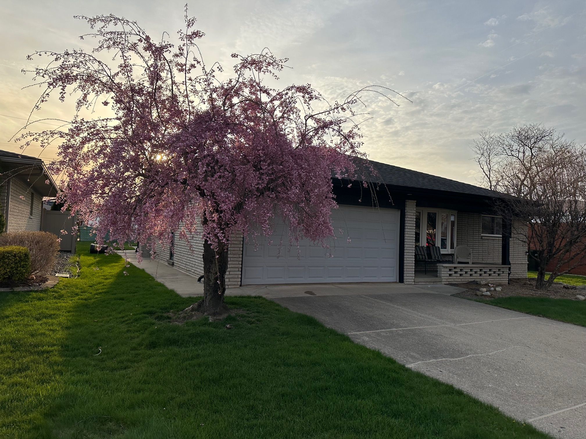 34111 BROOKSHIRE Drive