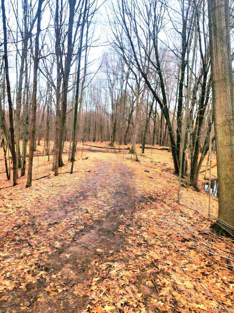 Parcel B1 Foley Road Tyrone Township MI 48430