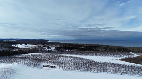 N Manitou Trail Leelanau Township MI 49670